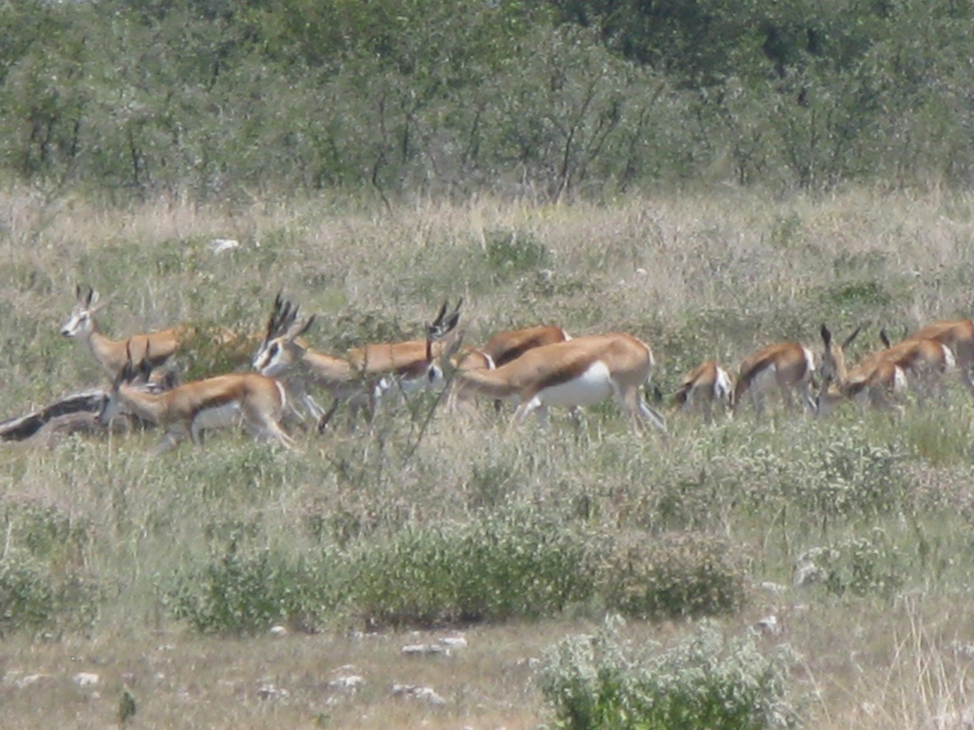 Namibia