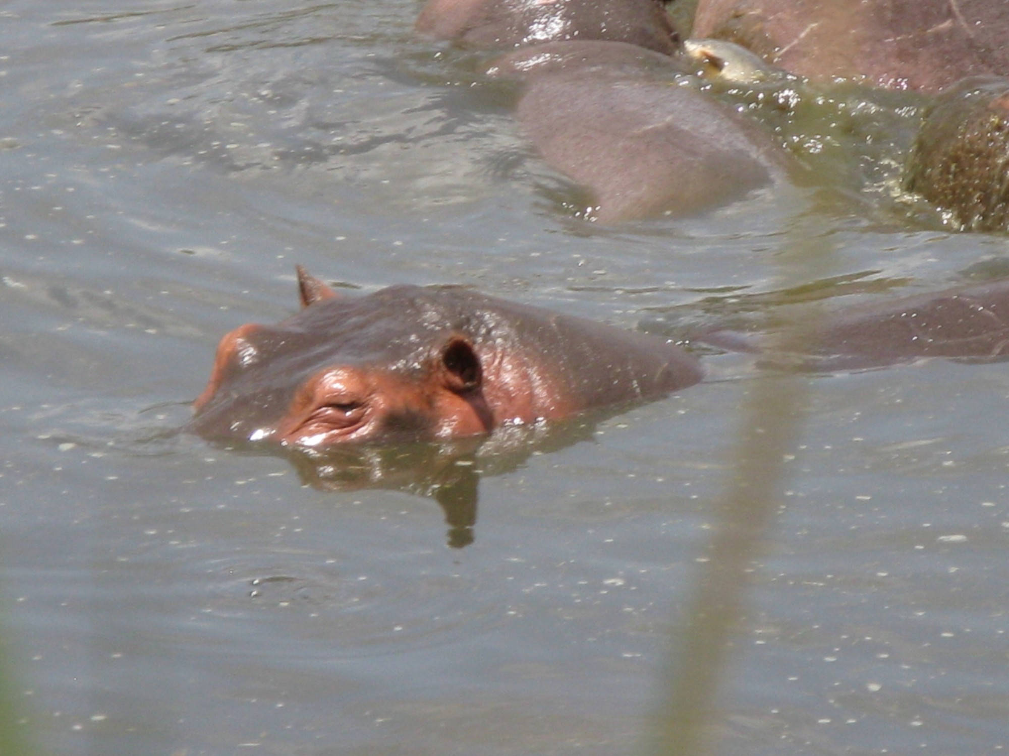 Tanzania