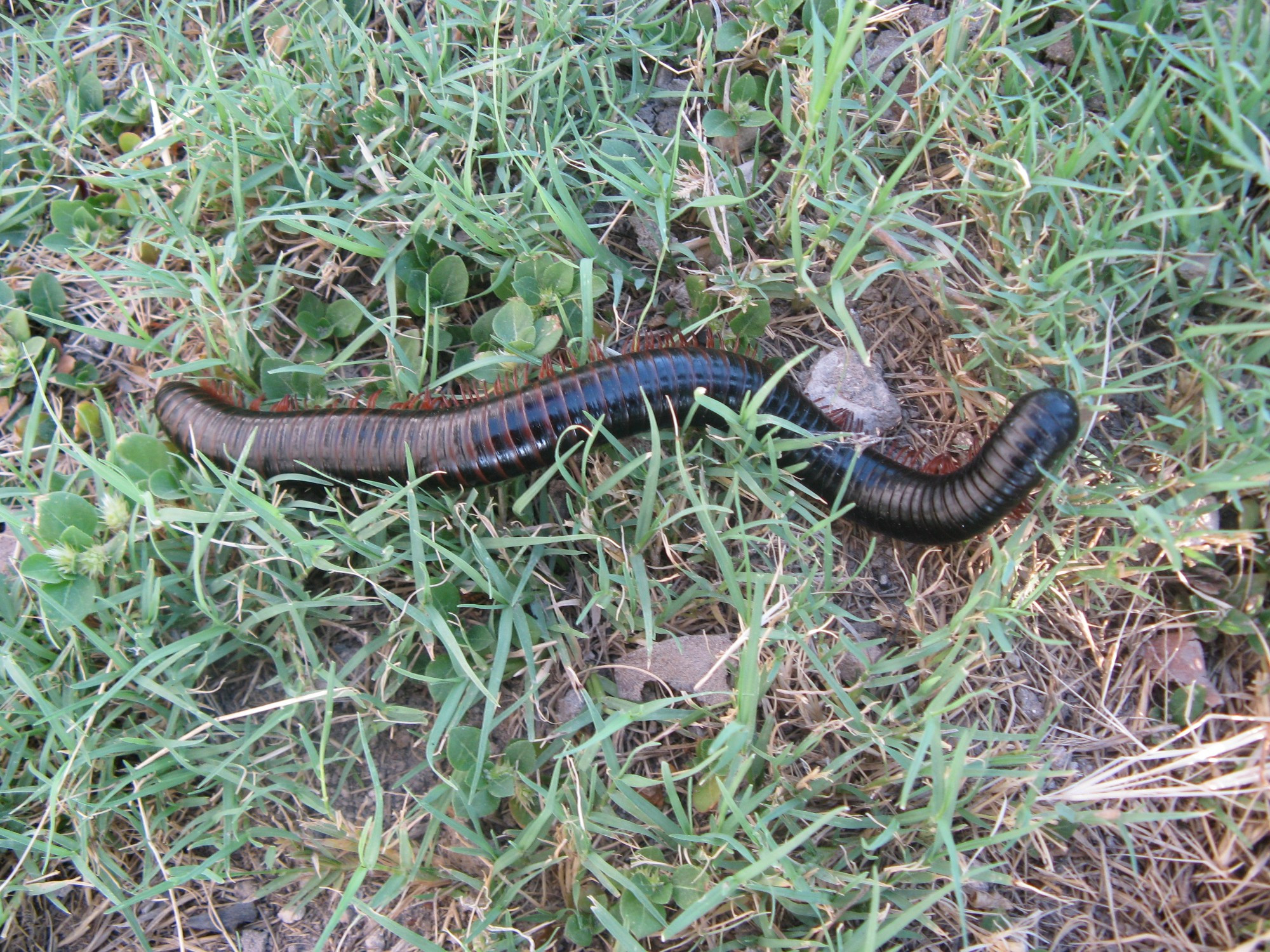 Namibia