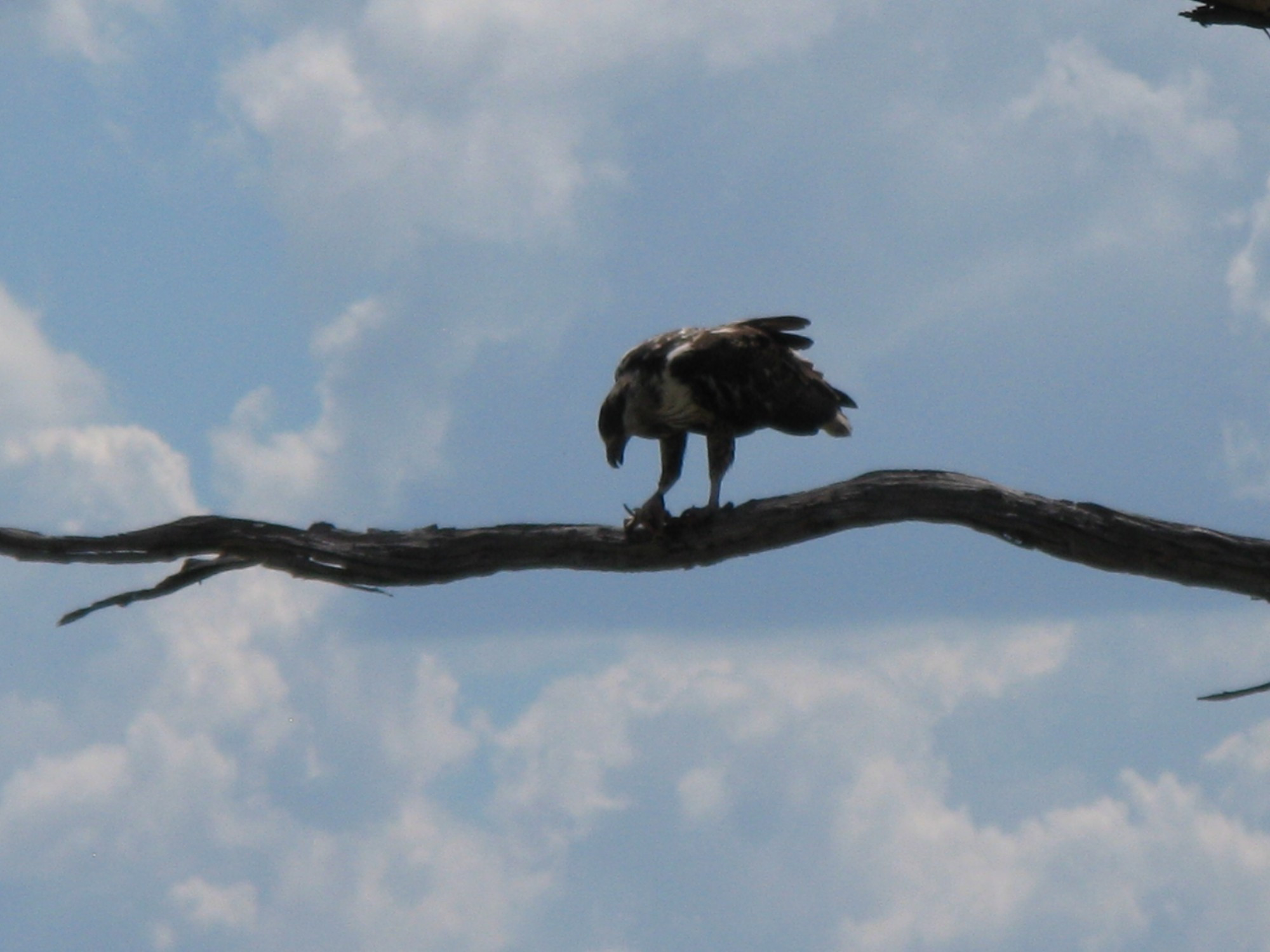 Botswana