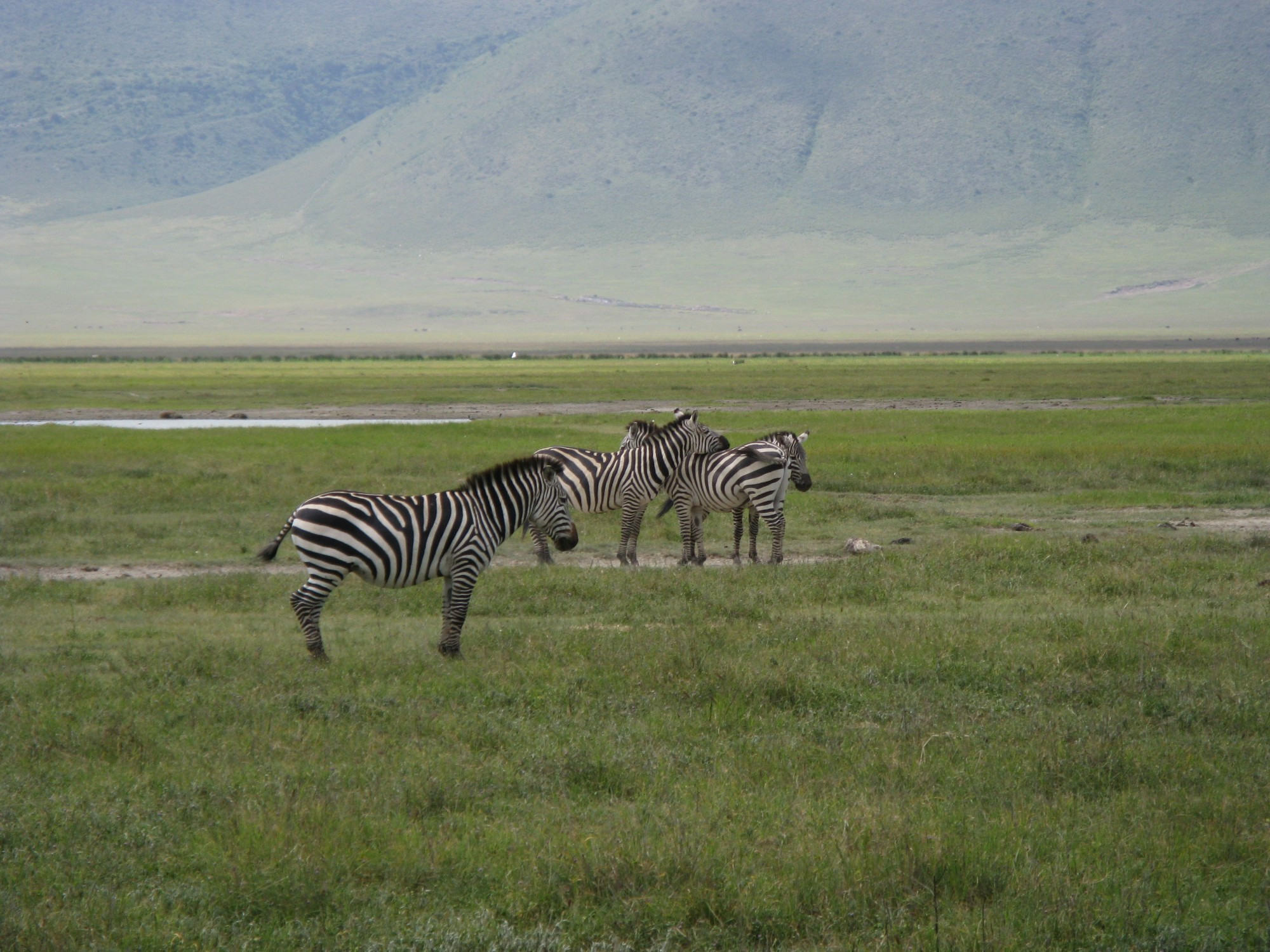 Tanzania