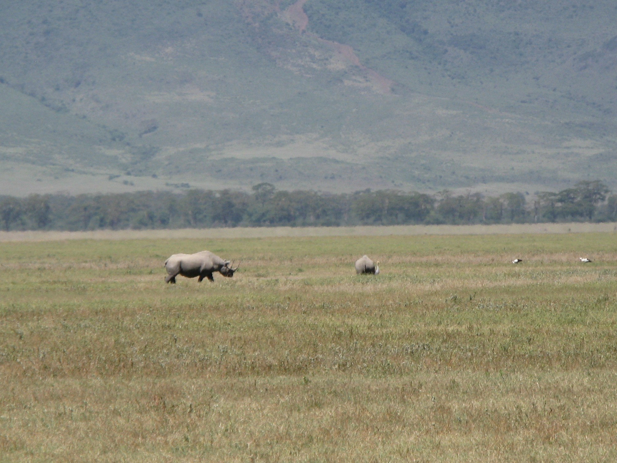 Tanzania