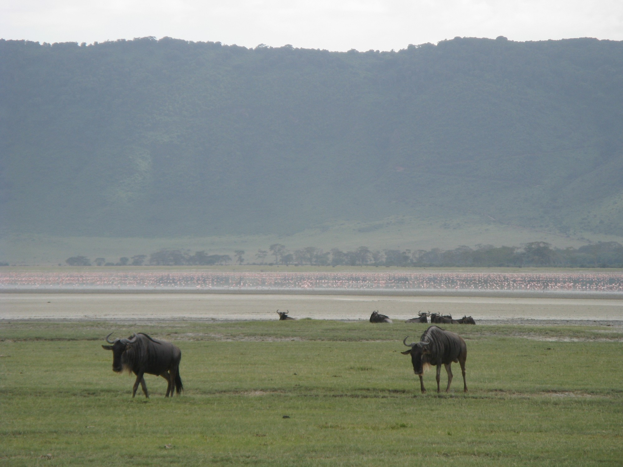 Tanzania