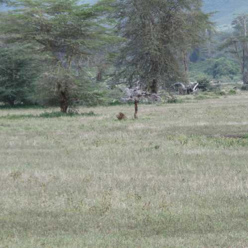 Tanzania