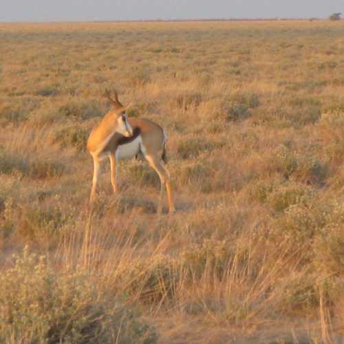 Namibia