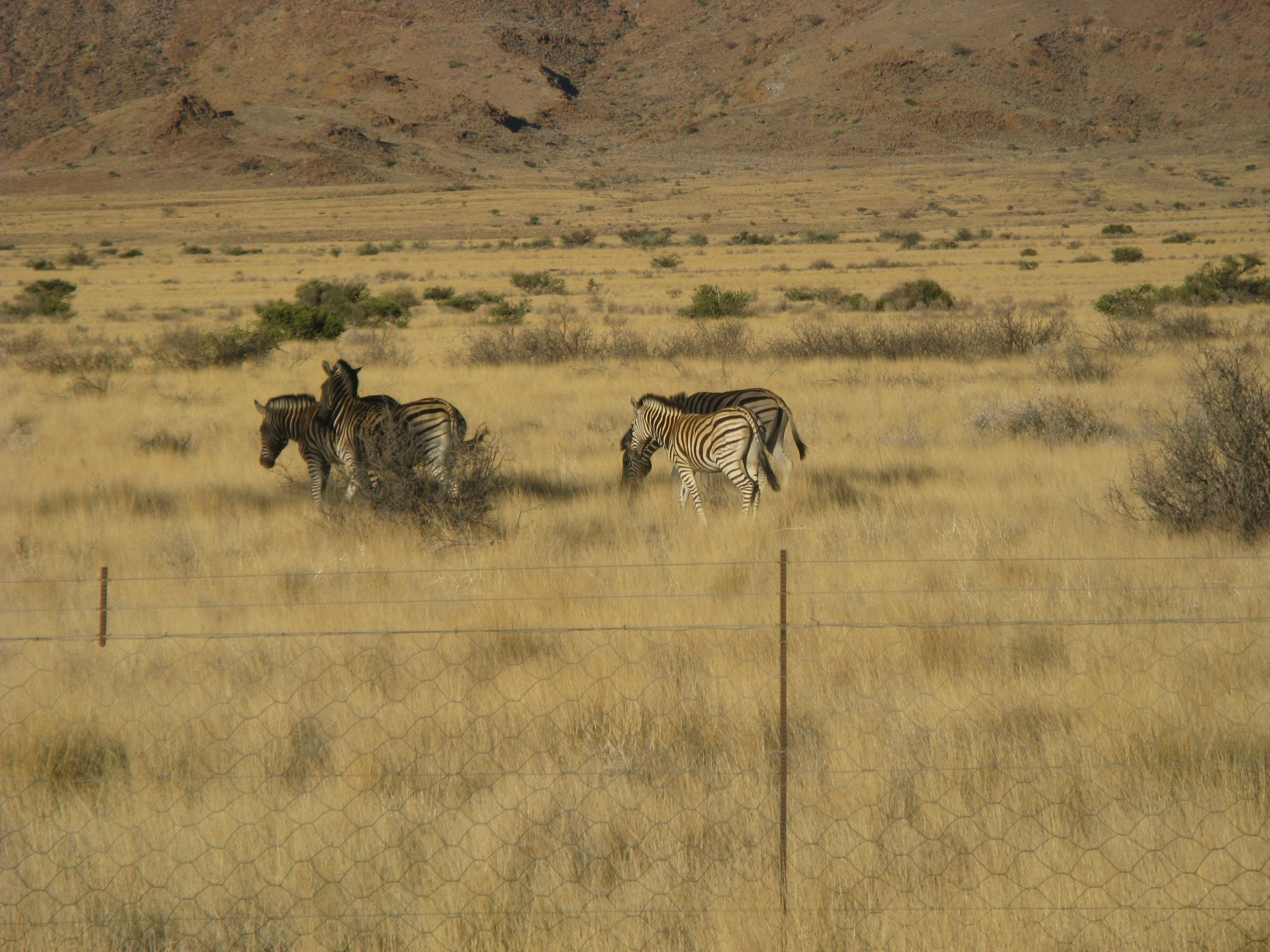 Namibia