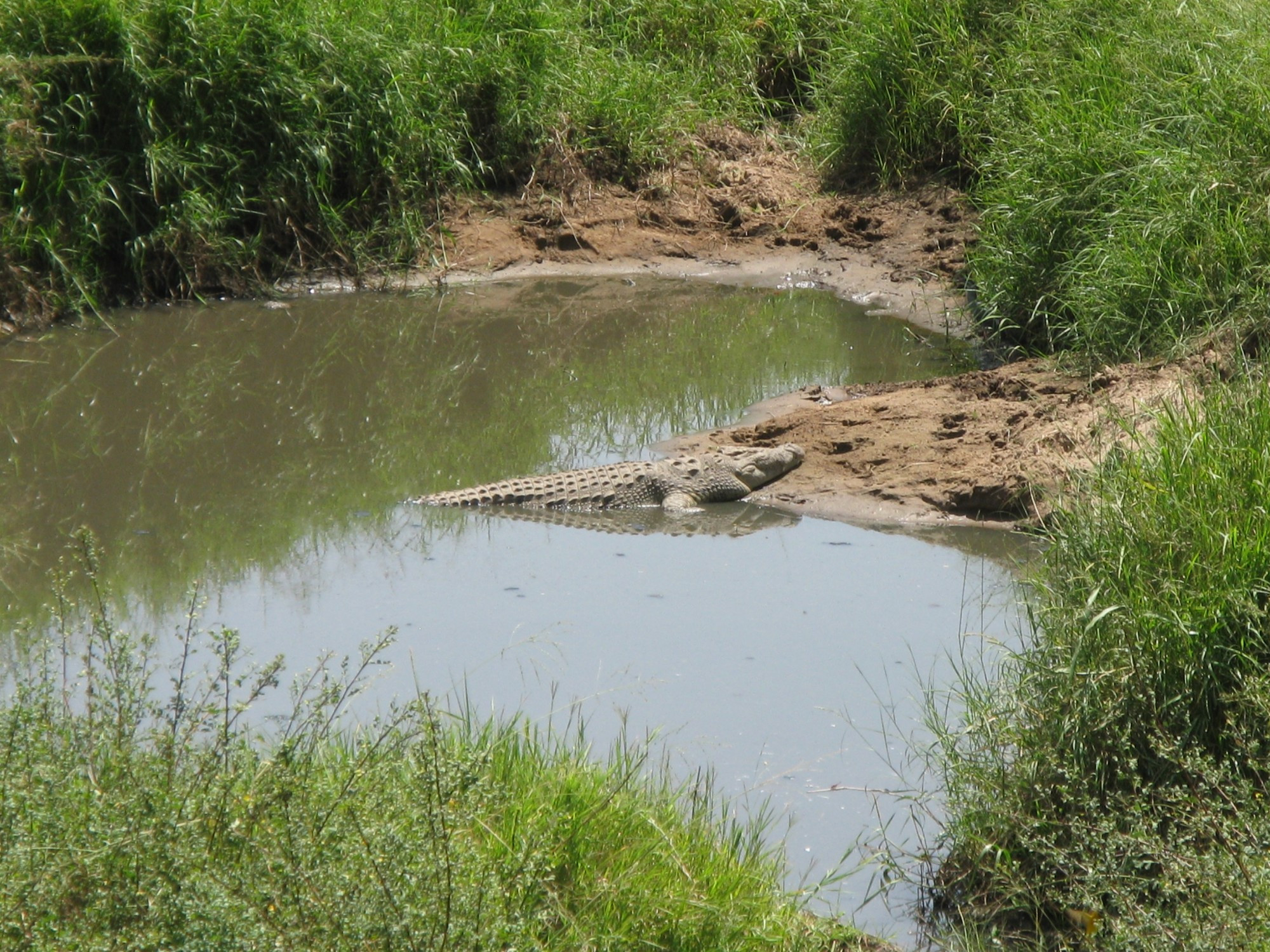 Tanzania