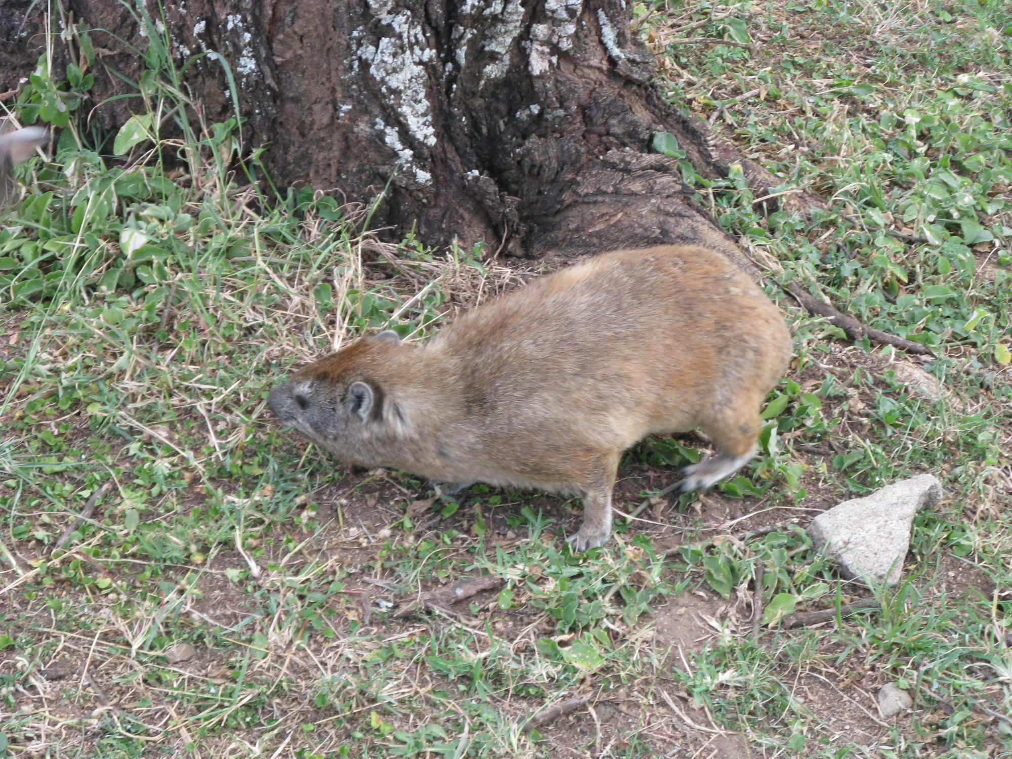 Tanzania