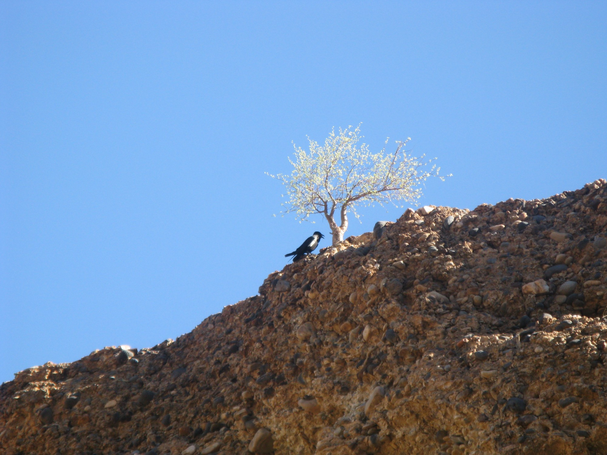 Namibia