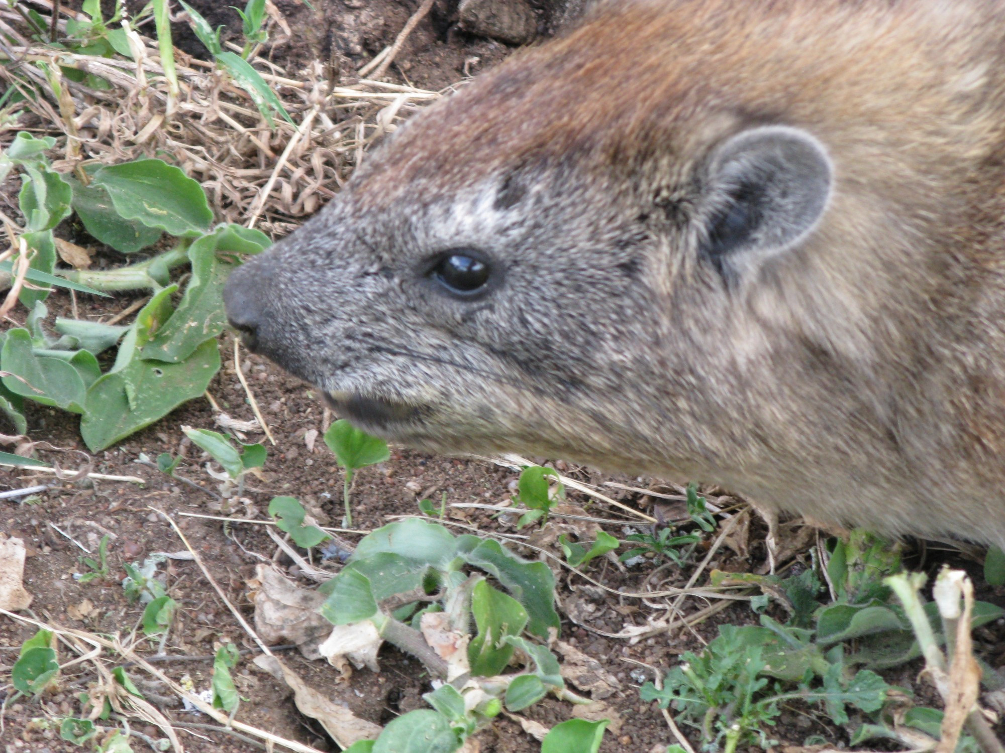 Tanzania