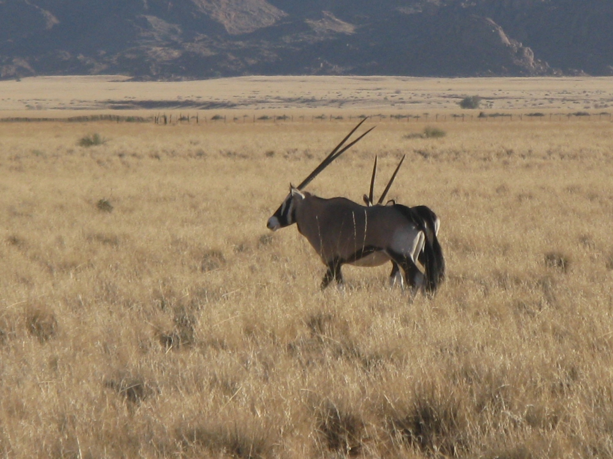 Namibia