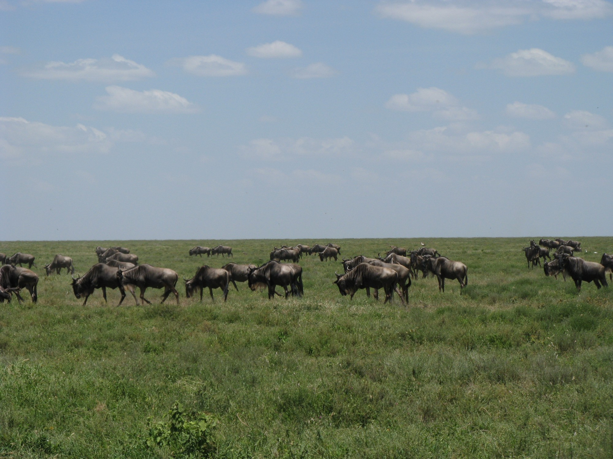 Tanzania