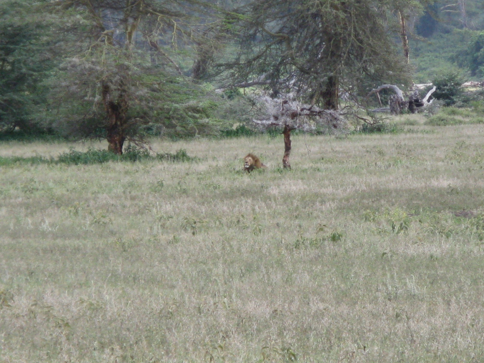 Tanzania