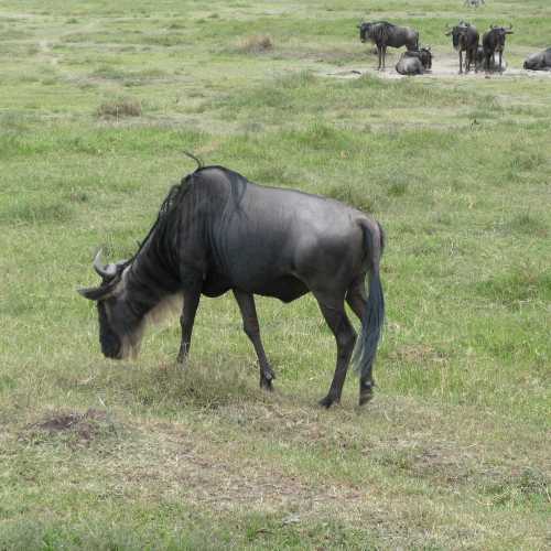 Tanzania