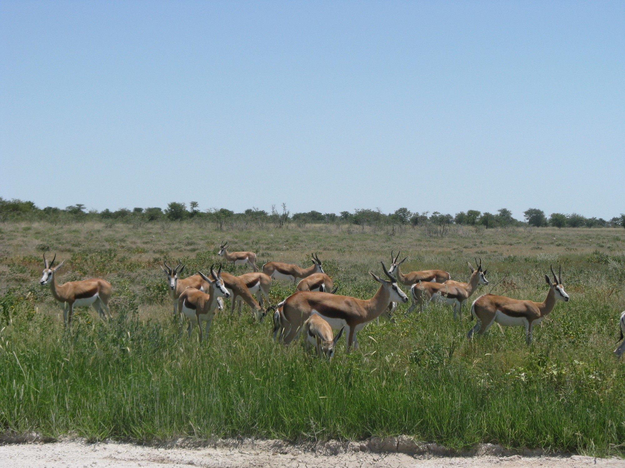 Namibia