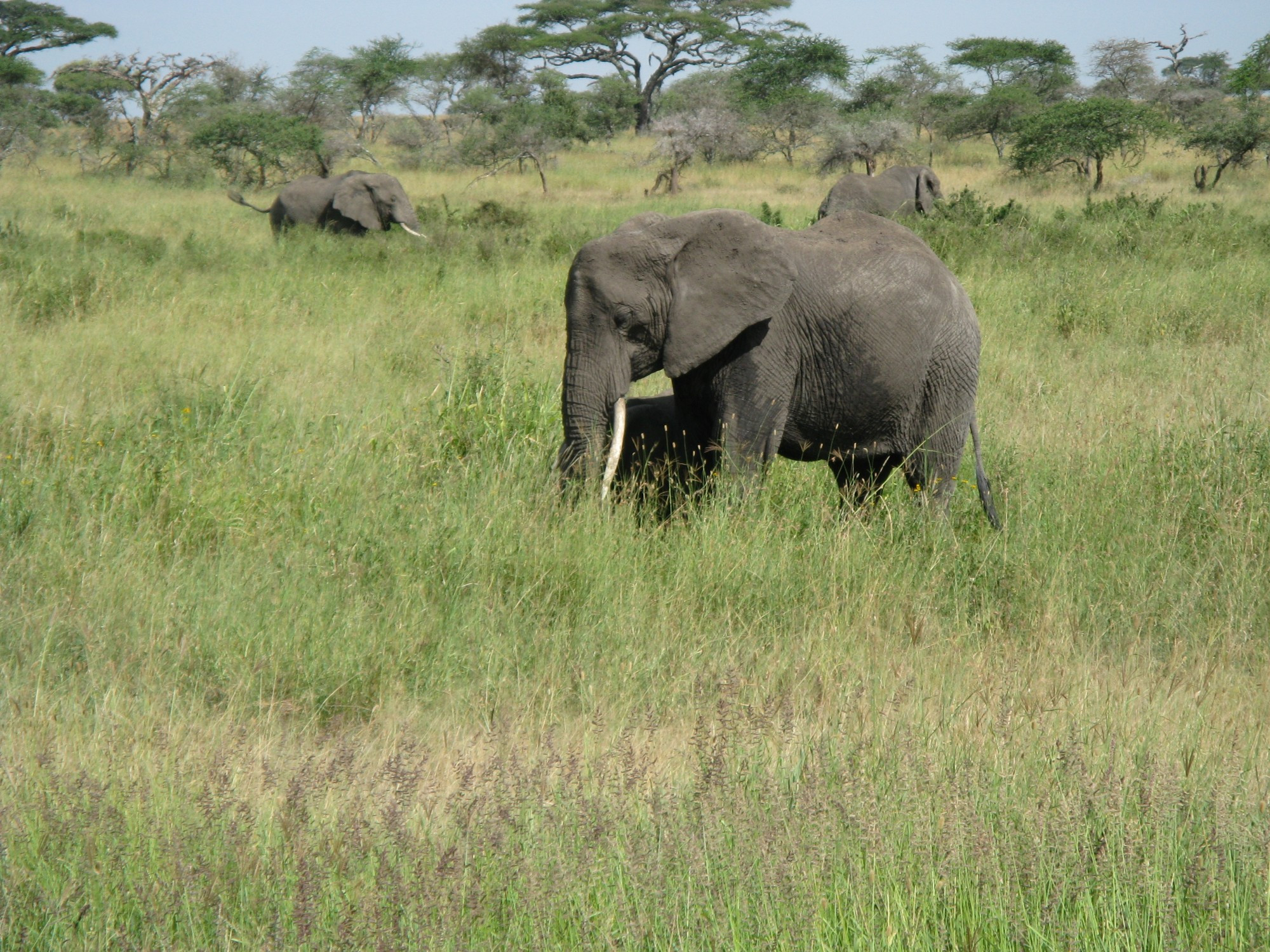 Tanzania