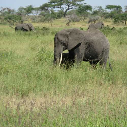 Tanzania