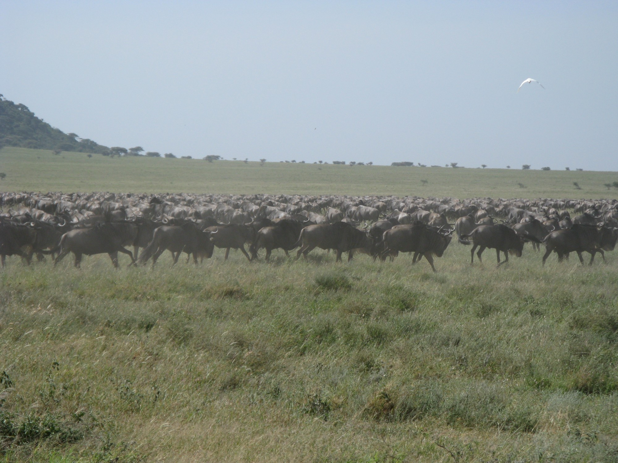 Tanzania