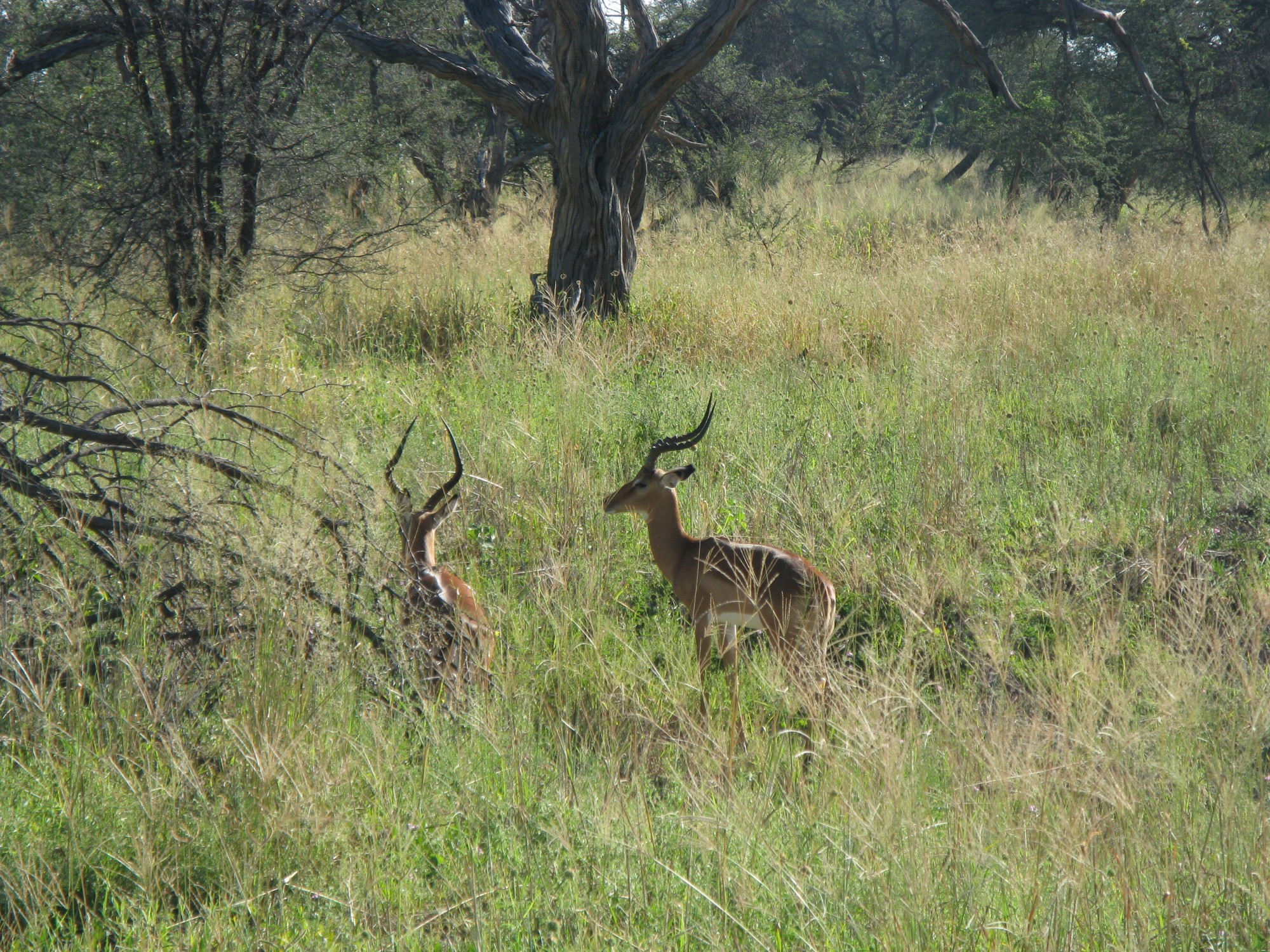 Botswana