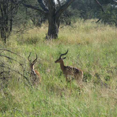 Botswana