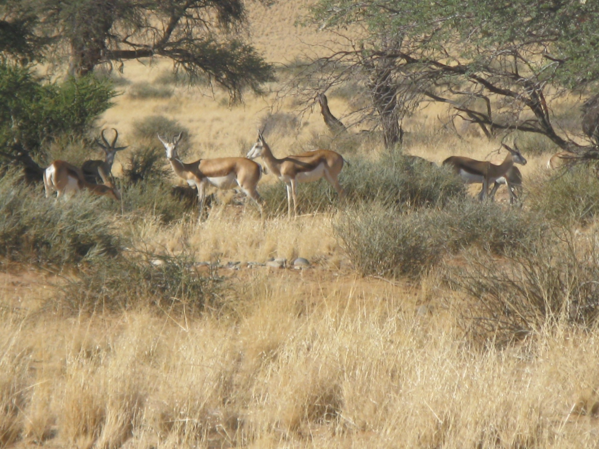 Namibia