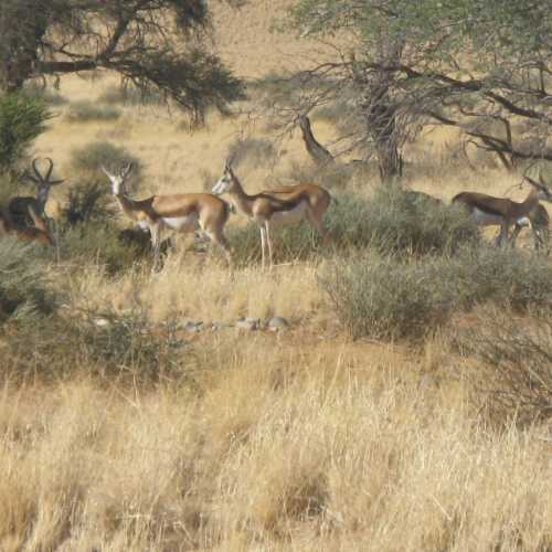 Namibia