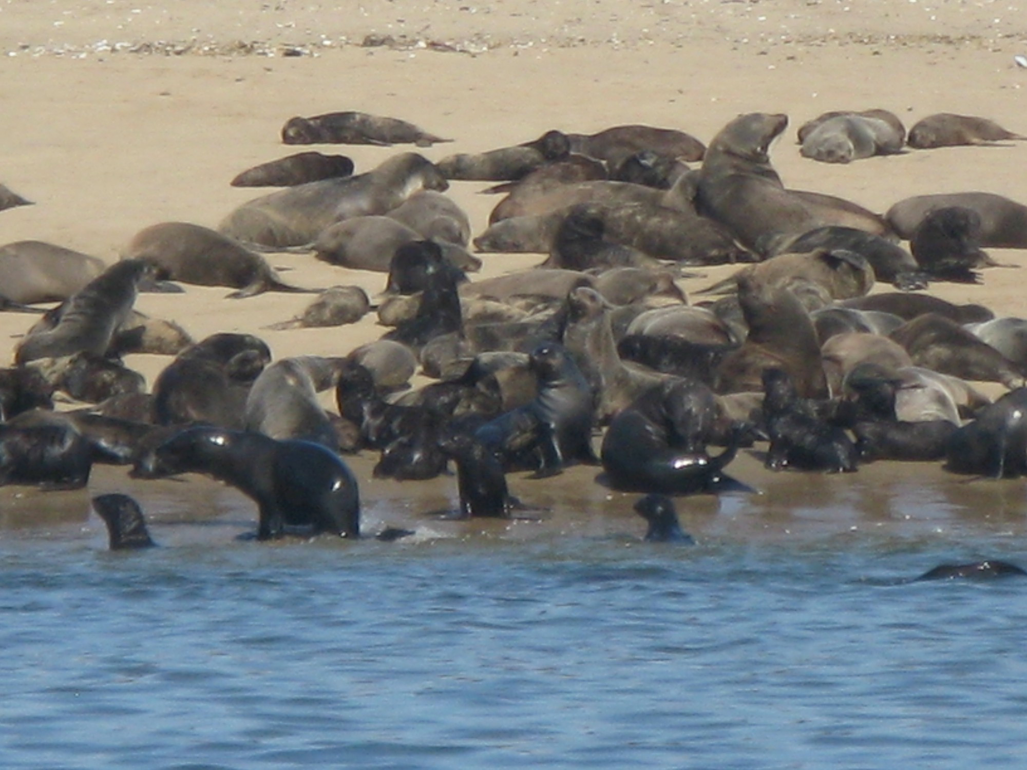 Namibia