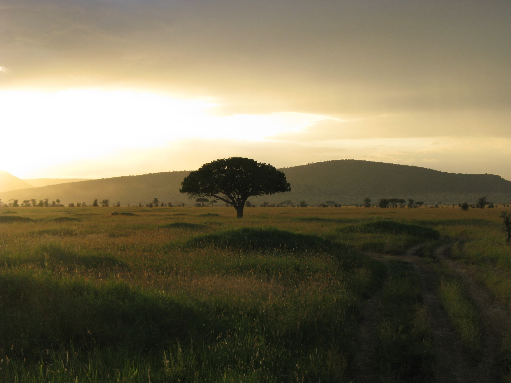 Tanzania