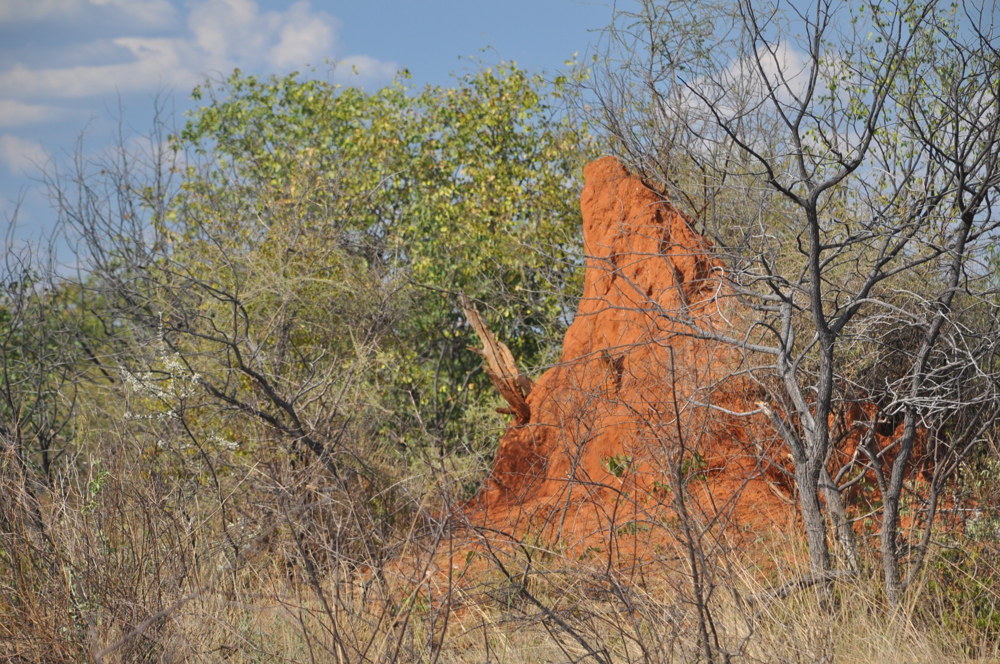 Namibia