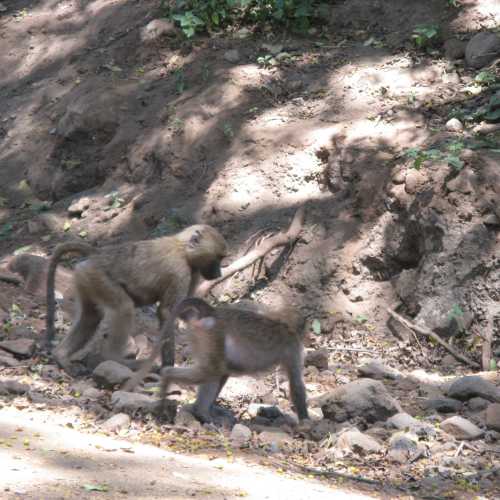 Tanzania