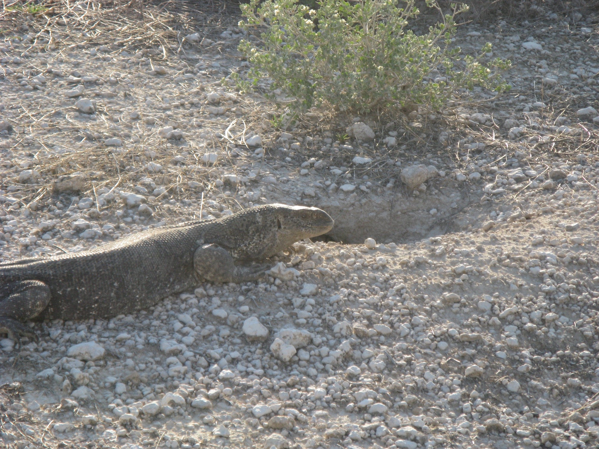 Namibia