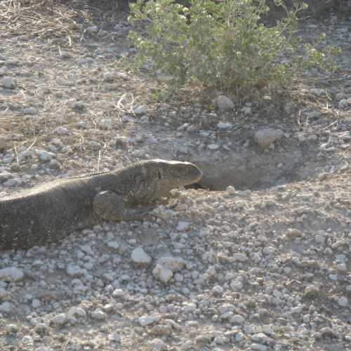 Namibia