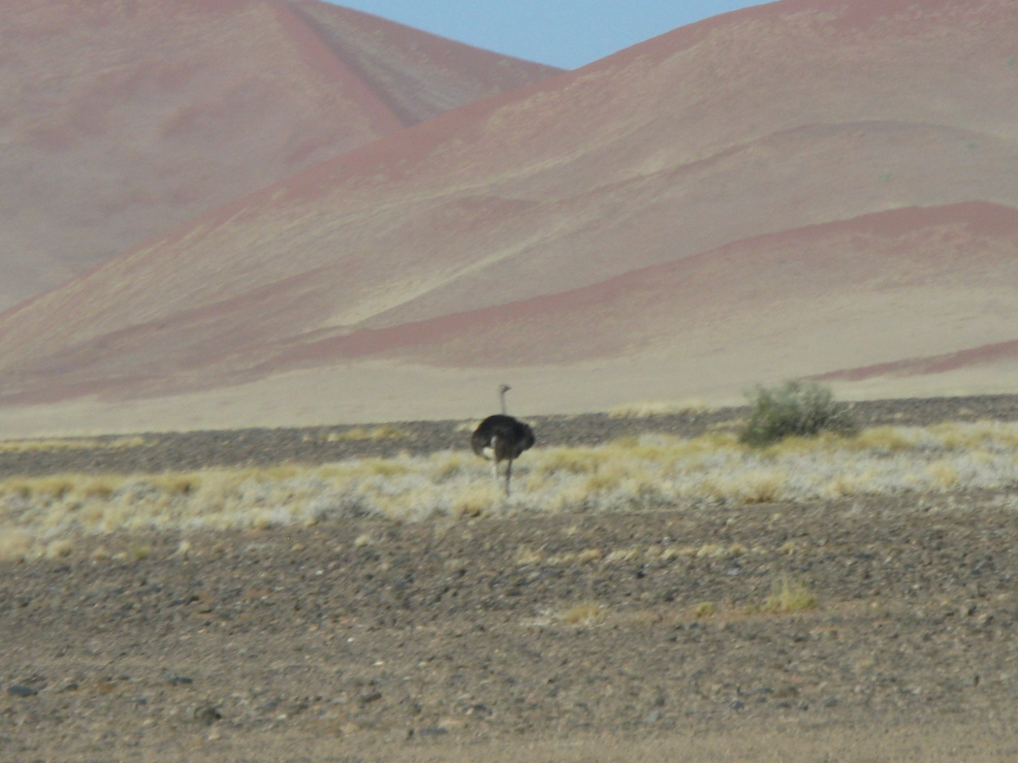 Namibia