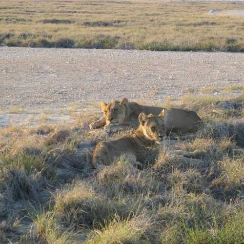 Namibia