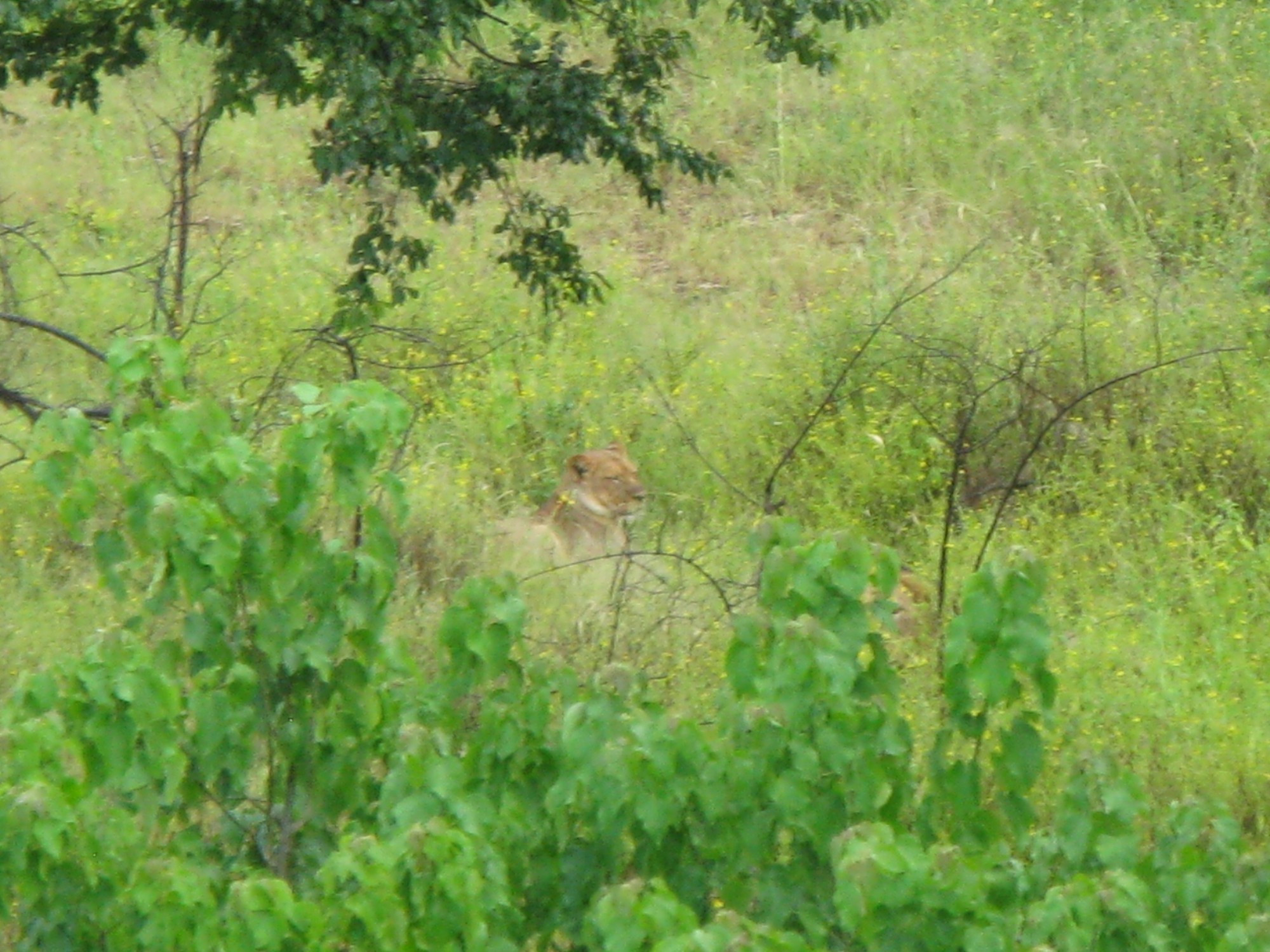 Botswana