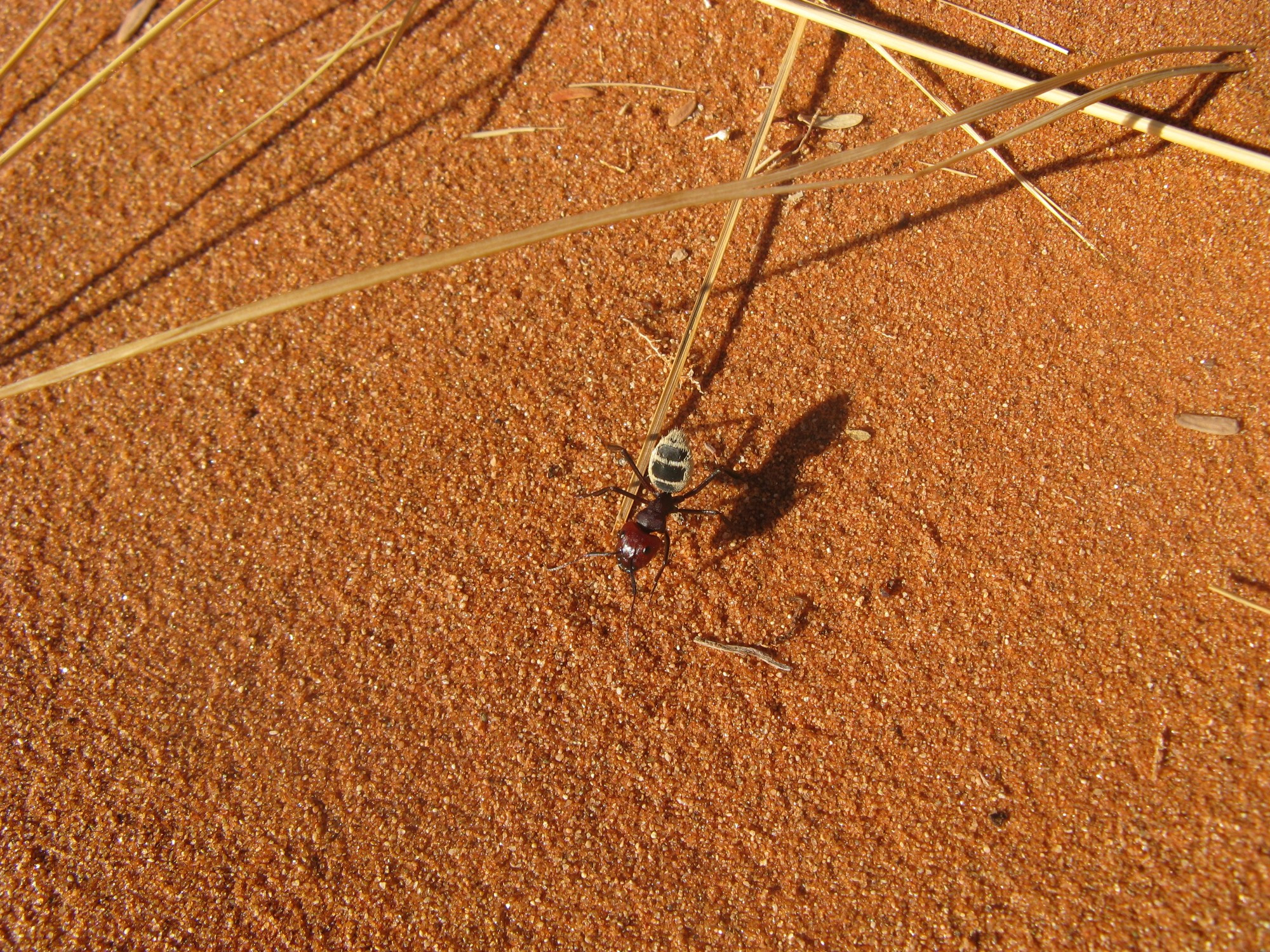 Namibia