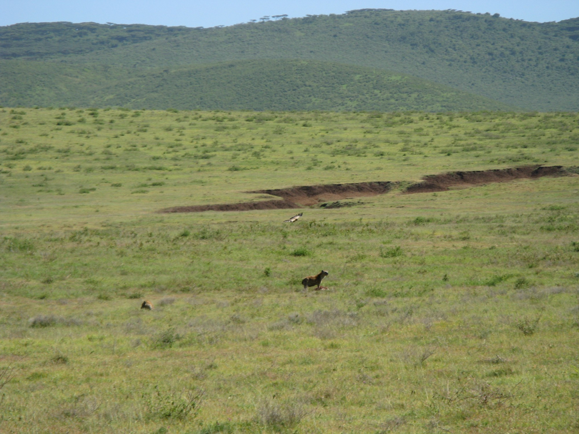 Tanzania