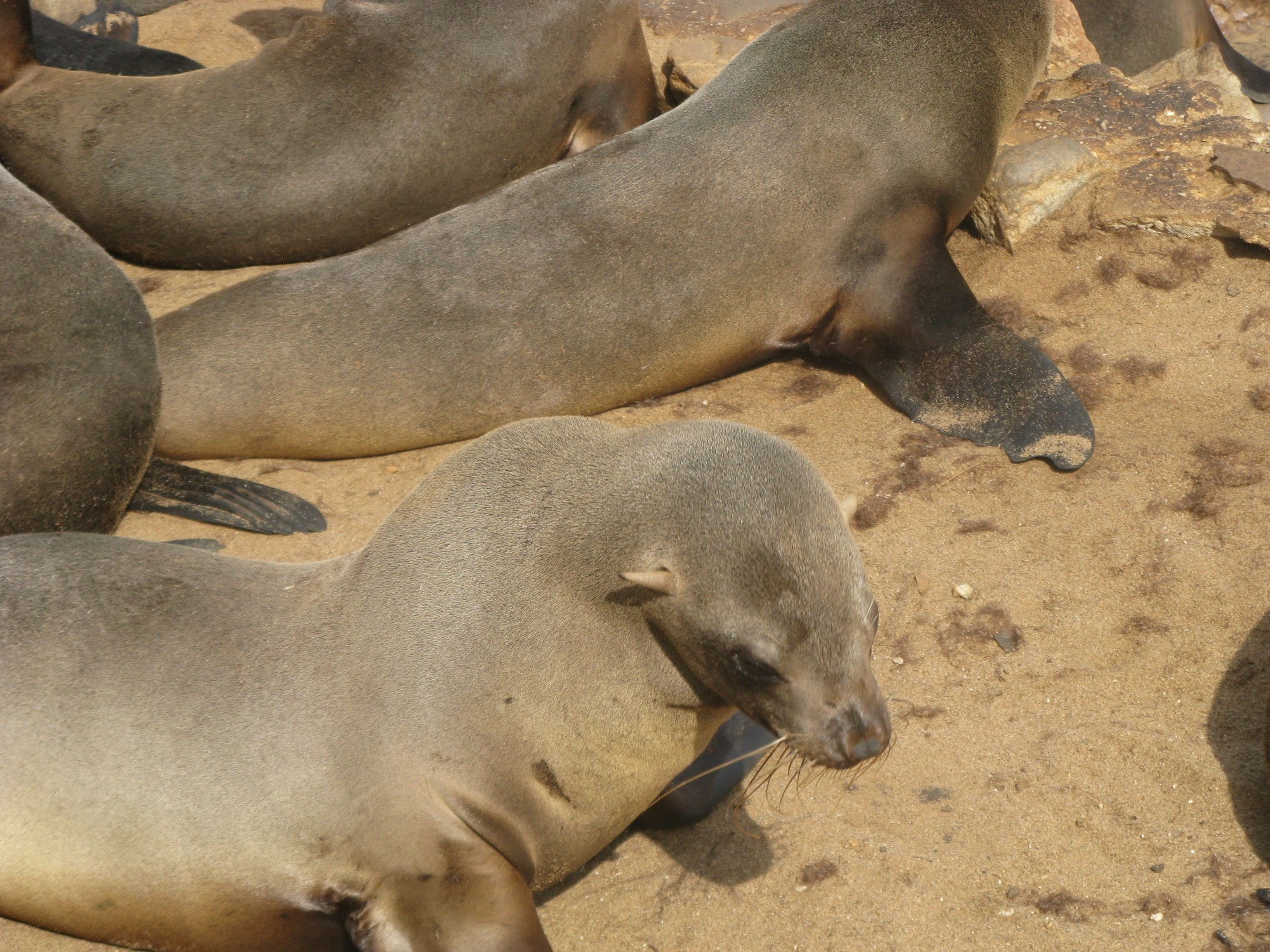 Namibia