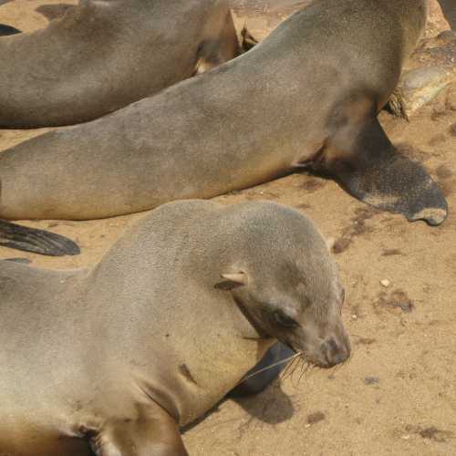 Namibia