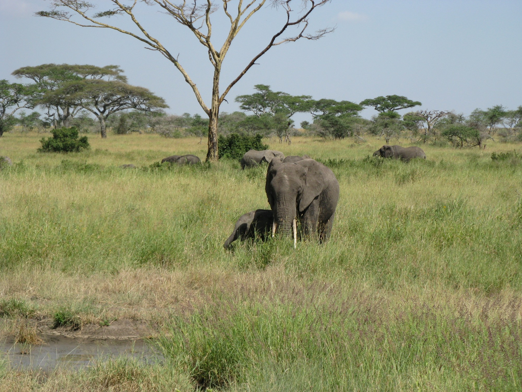 Tanzania