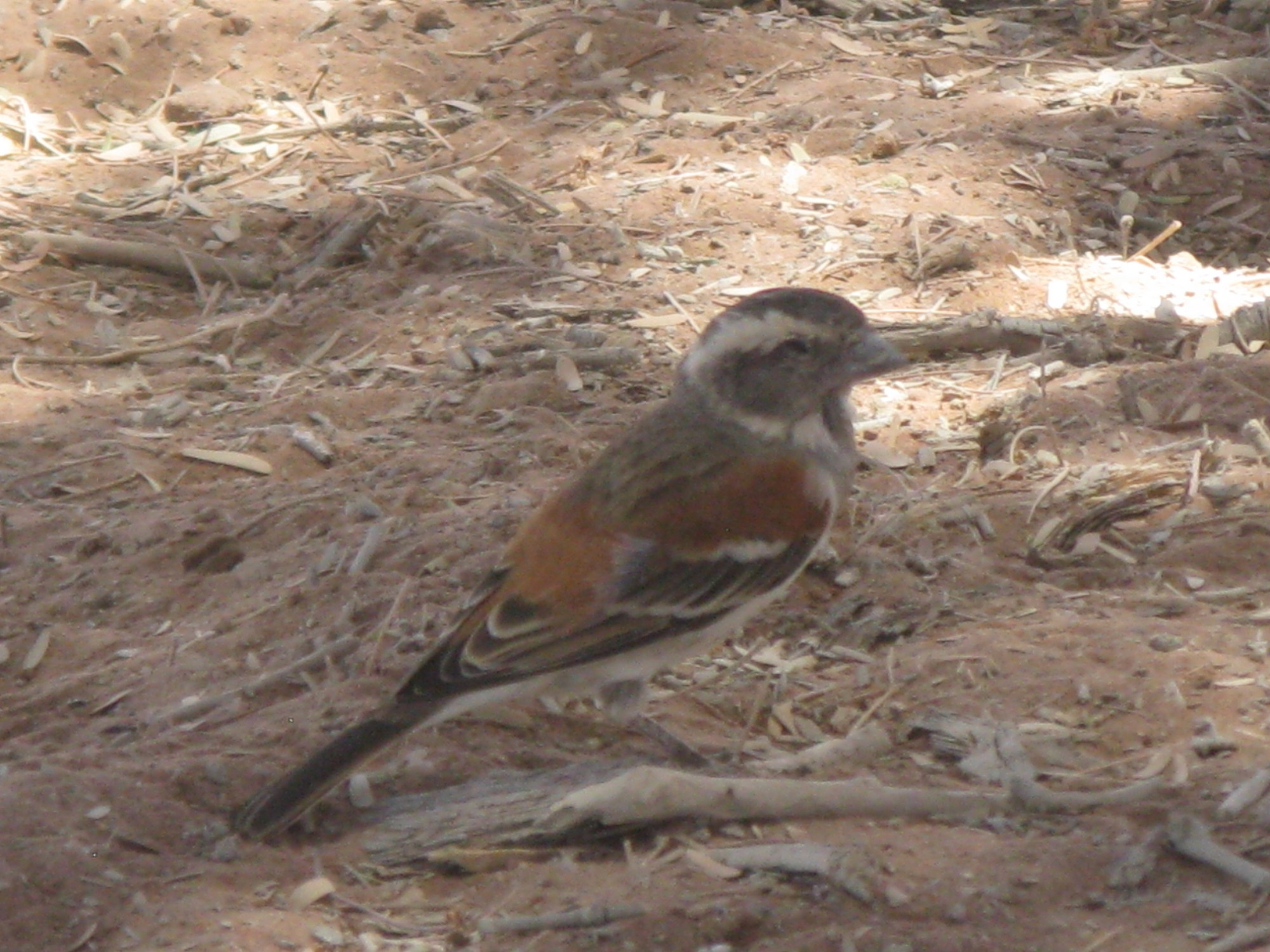 Namibia