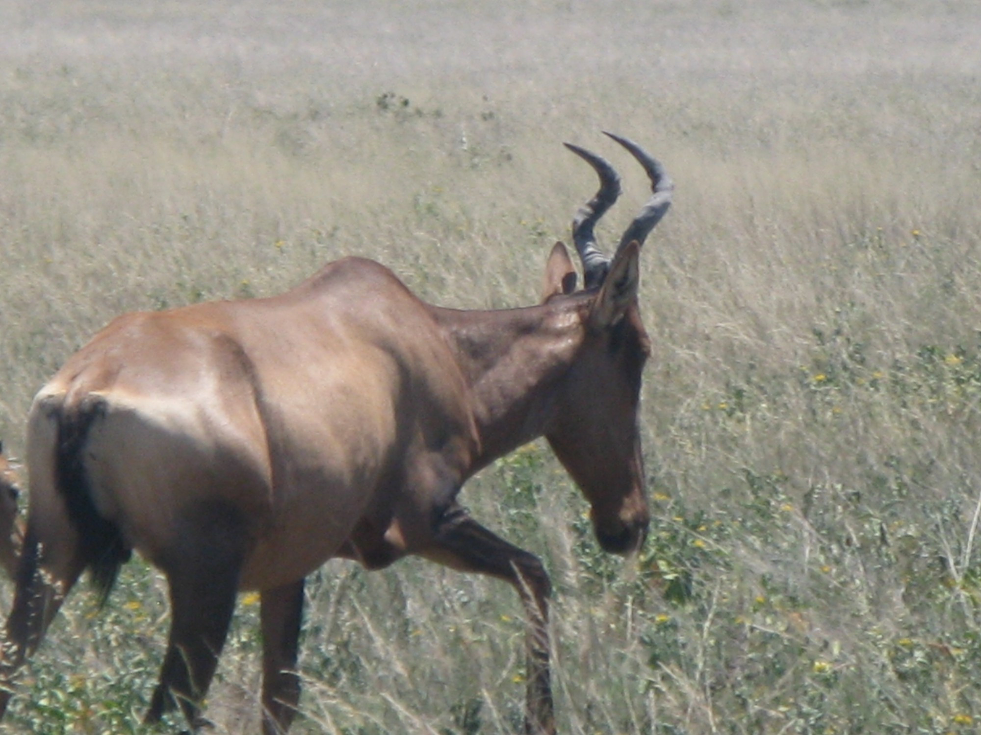 Namibia