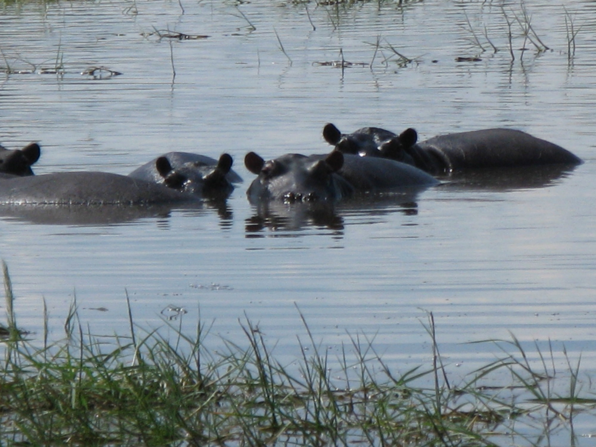 Botswana