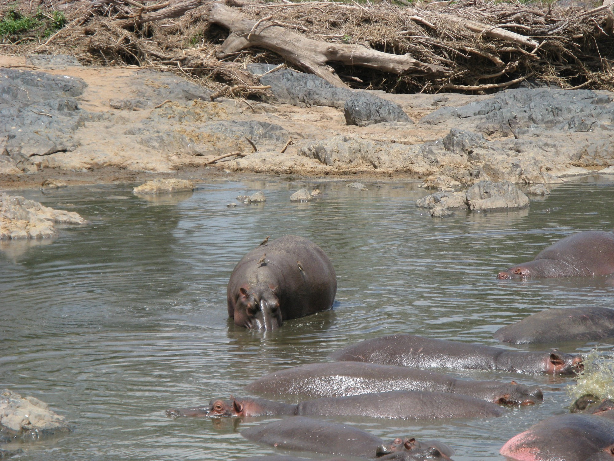 Tanzania