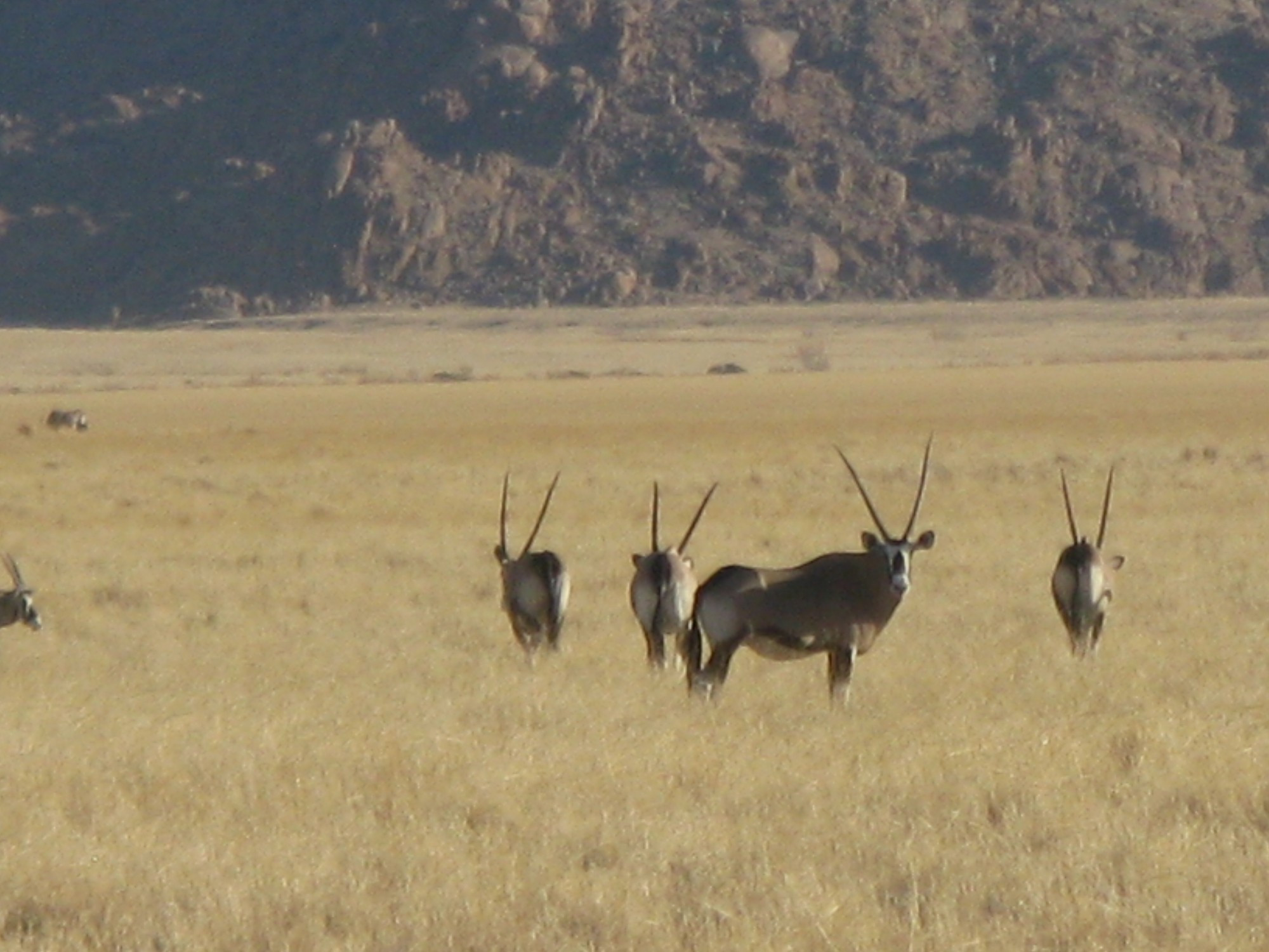 Namibia