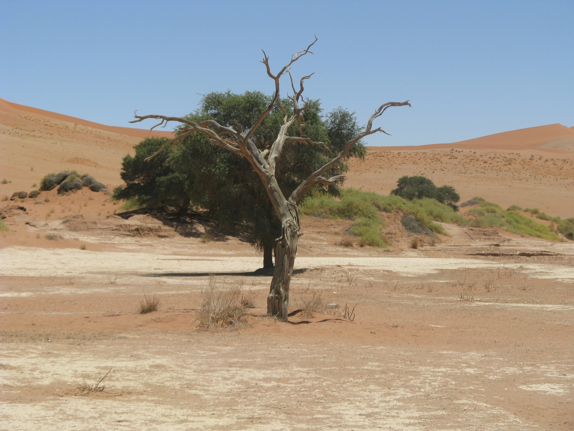 Namibia