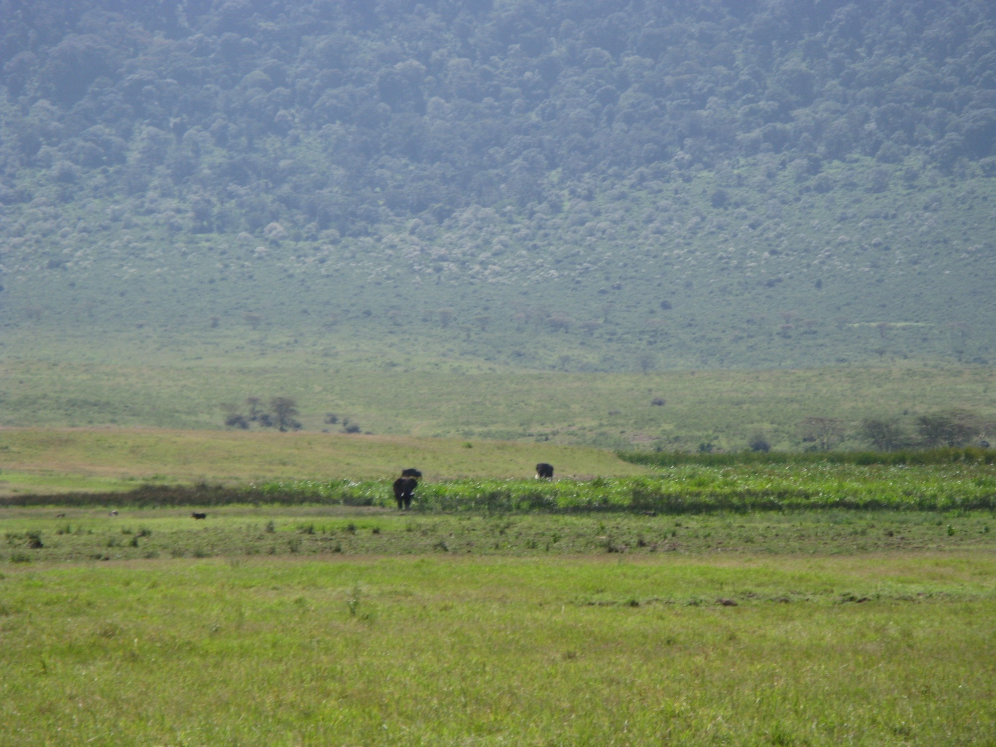 Tanzania