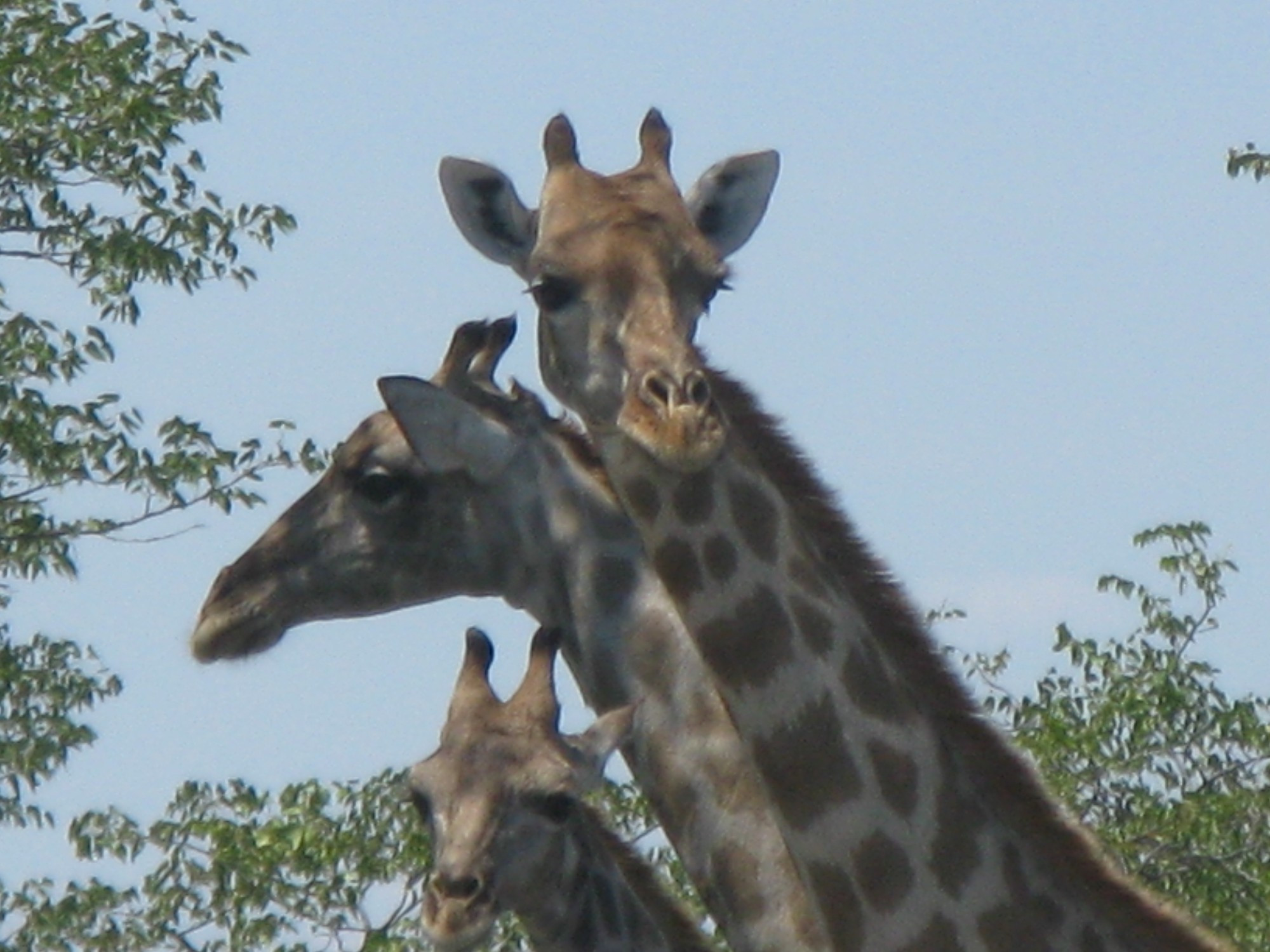 Namibia