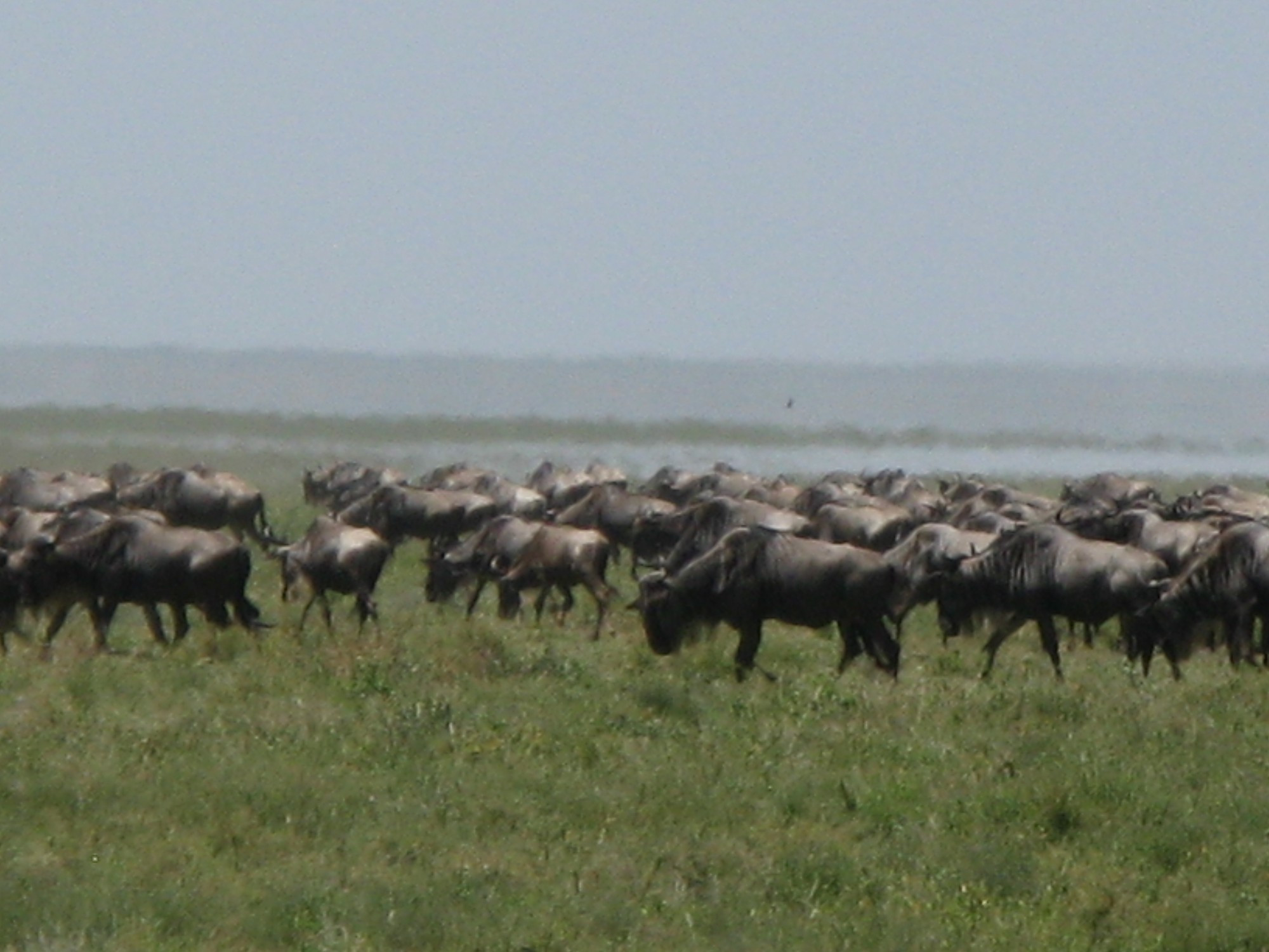 Tanzania