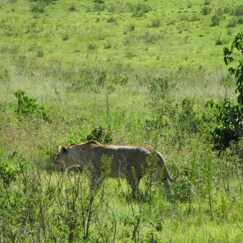 Tanzania